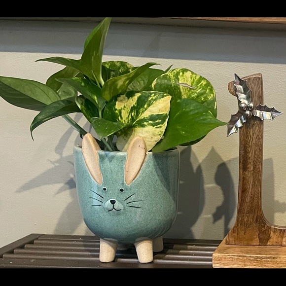 Meet your Posher, Racquel - Picture 1 of 1